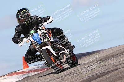 media/Feb-19-2024-Lets Ride (Mon) [[eb90a18fbf]]/Group C/1230pm (Grapevine)/